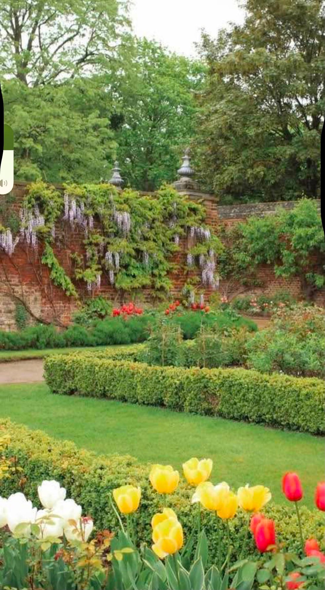 Planted trough borders on the paved terrace outside the Foundry Project bar and restaurant in Harrogate