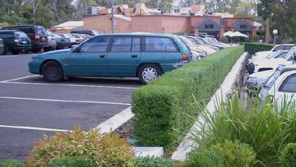 A clipped hedge and planted border kept tidy between the bays of a car park