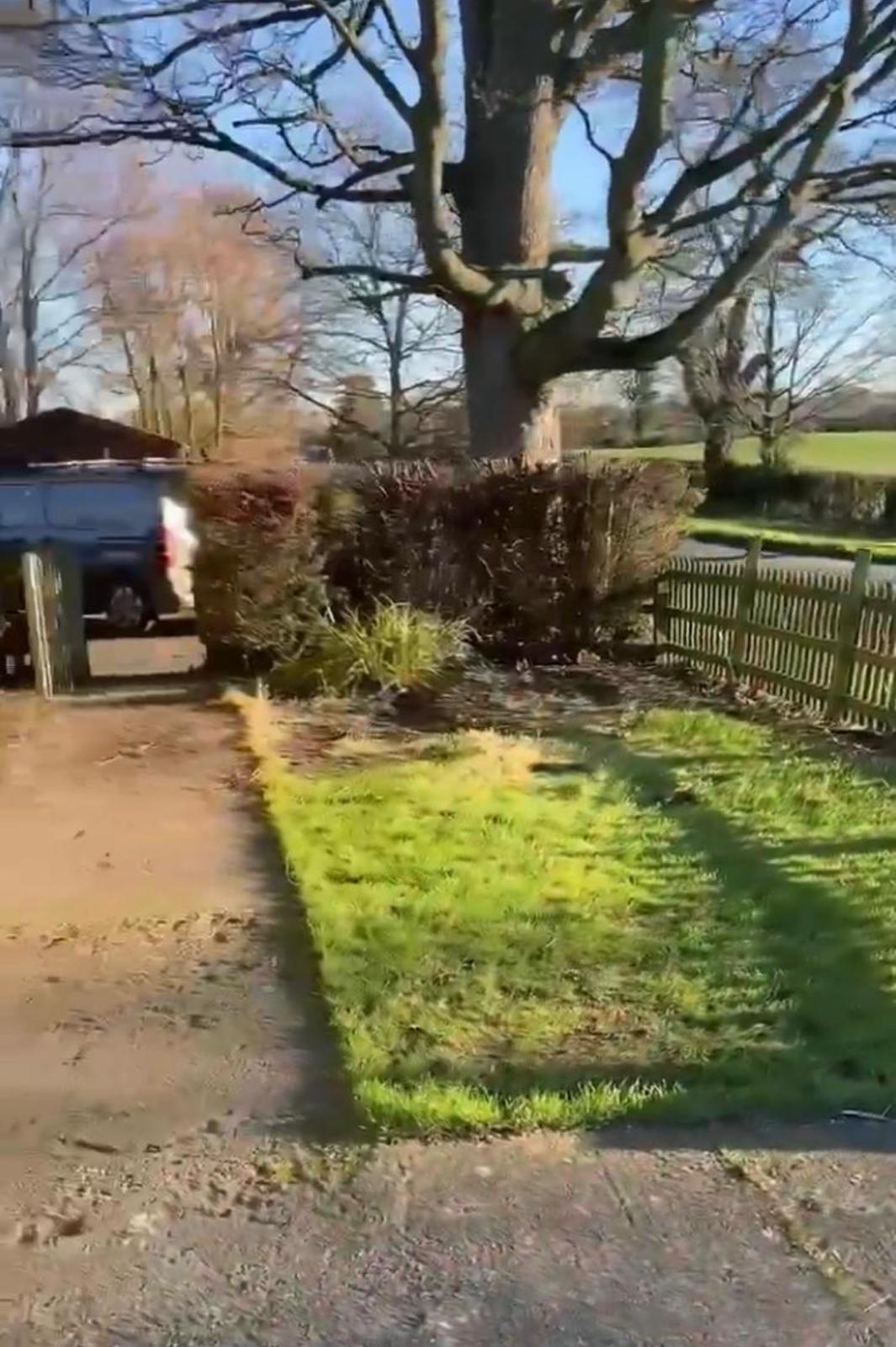The same corner before the work: a patchy lawn, a bare border and hedging under a big oak