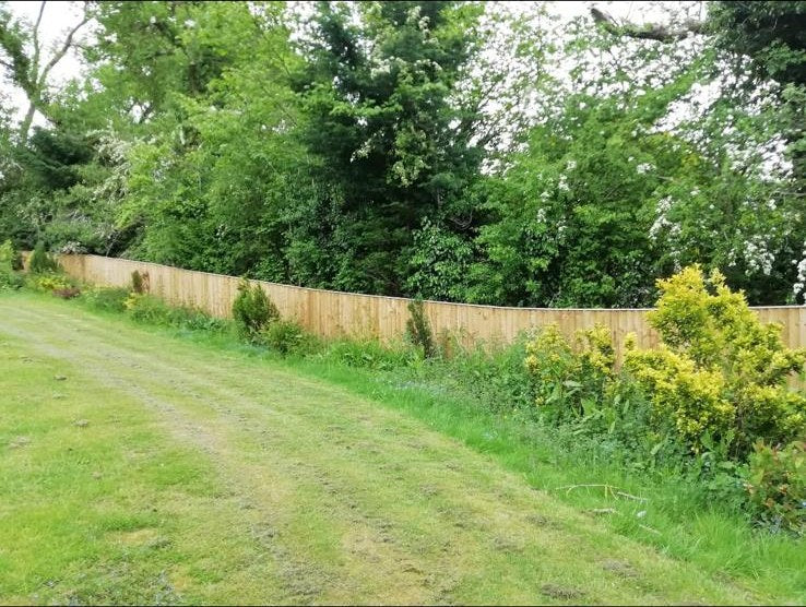 Rough grass along a new fence line before the border went in