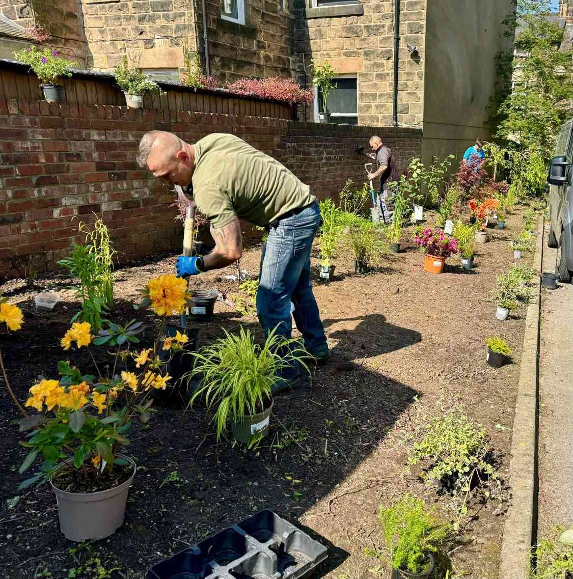 Three of the team planting up a new border with shrubs and grasses
