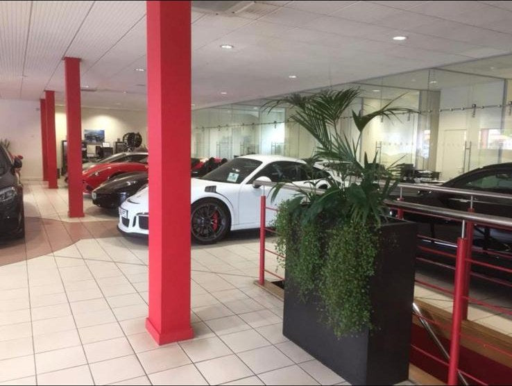 Tall interior planters of palm and trailing greenery maintained in a car showroom