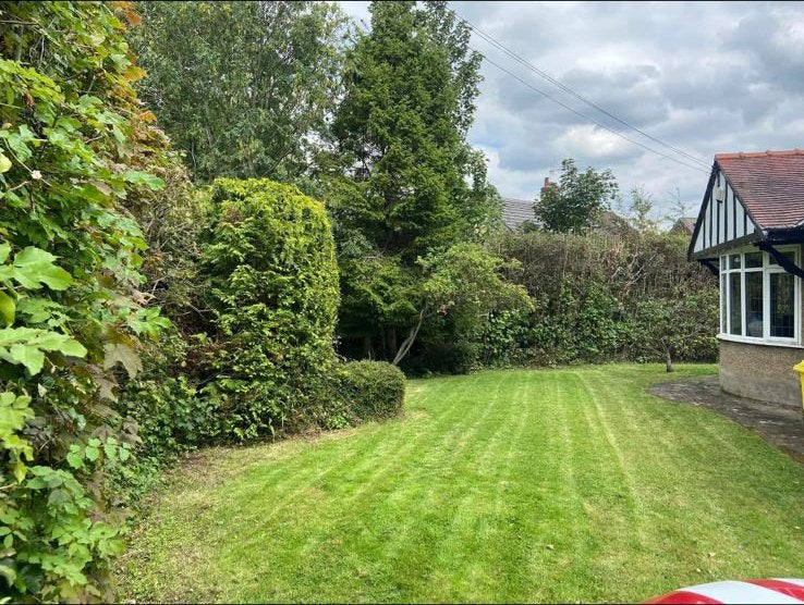 The same neglected garden after mowing and cutting back, lawn striped and clear
