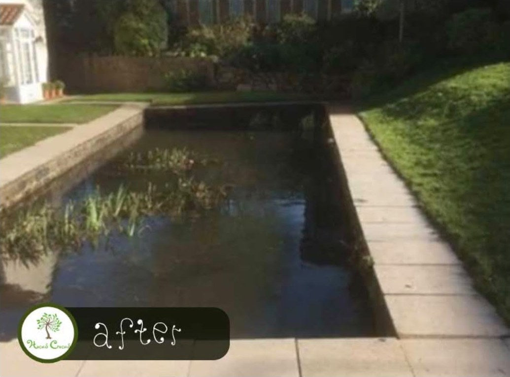 The same formal pond cleared, the water open again