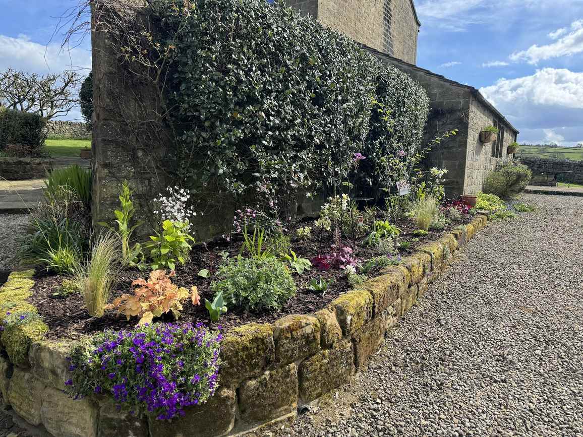 New border planting at a stone built property, Nidderdale