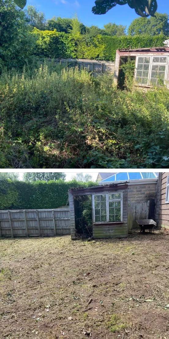 A garden lost under brambles, cleared back to tidy ground with the greenhouse visible again, before and after