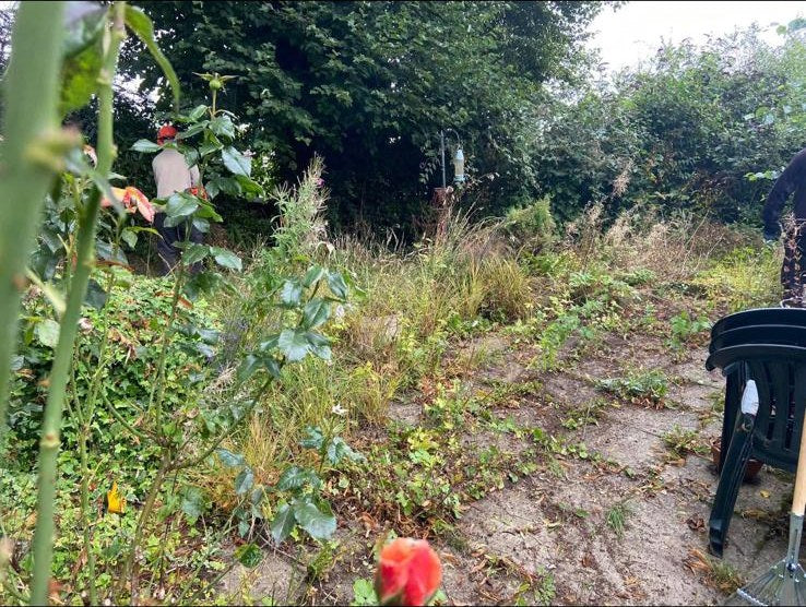 An overgrown back garden and patio before clearing