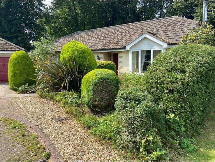 The same bungalow front garden after clipping, with domes reshaped and paths cleared