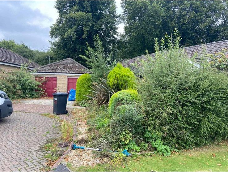 Overgrown shrubs swamping a bungalow front garden before a maintenance visit