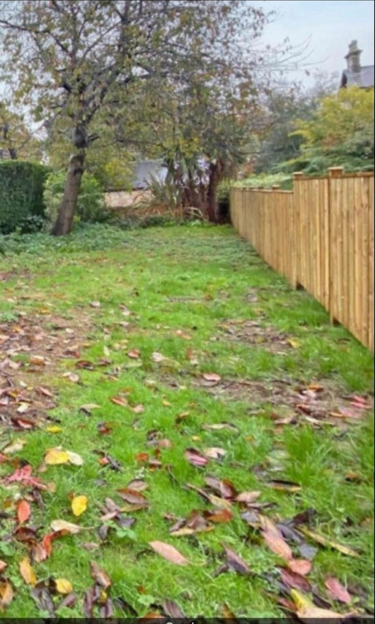 Leaf-covered autumn lawn beside a new close-board fence before a tidy-up