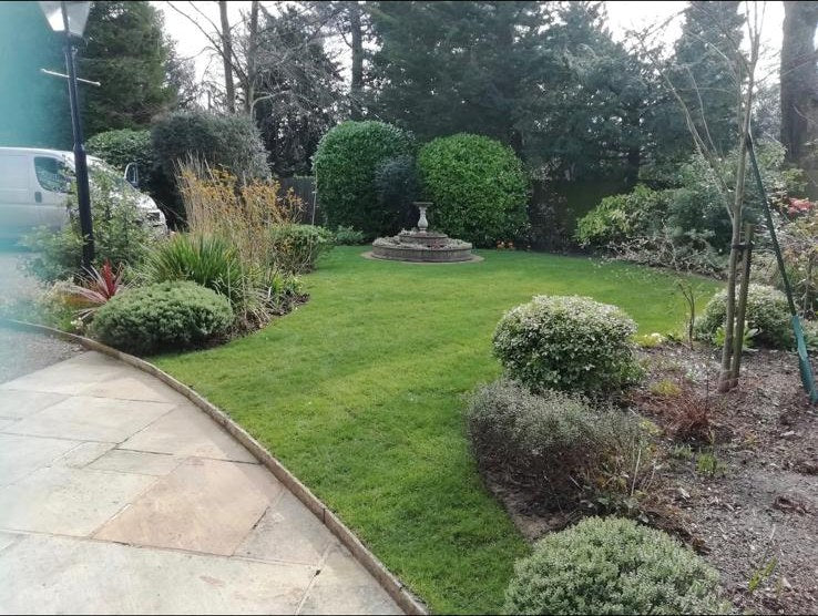 The same garden finished, lawn and clipped evergreen borders around a stone urn