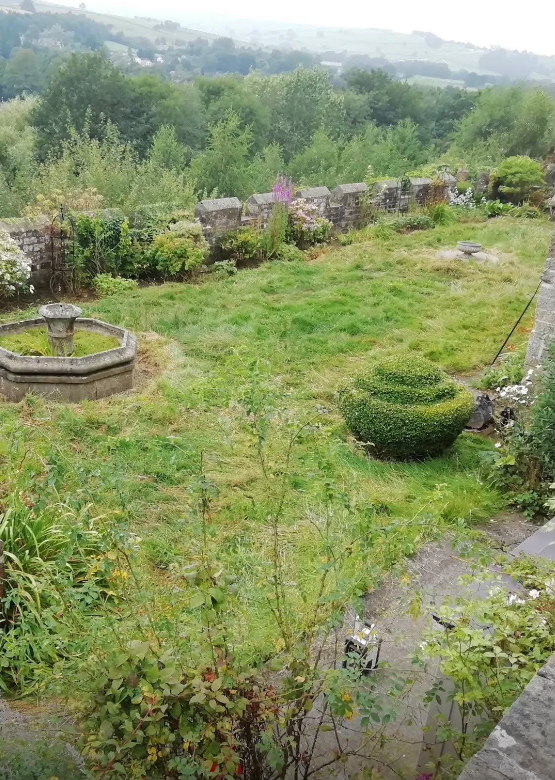 A hillside garden lost under rough grass before the makeover started