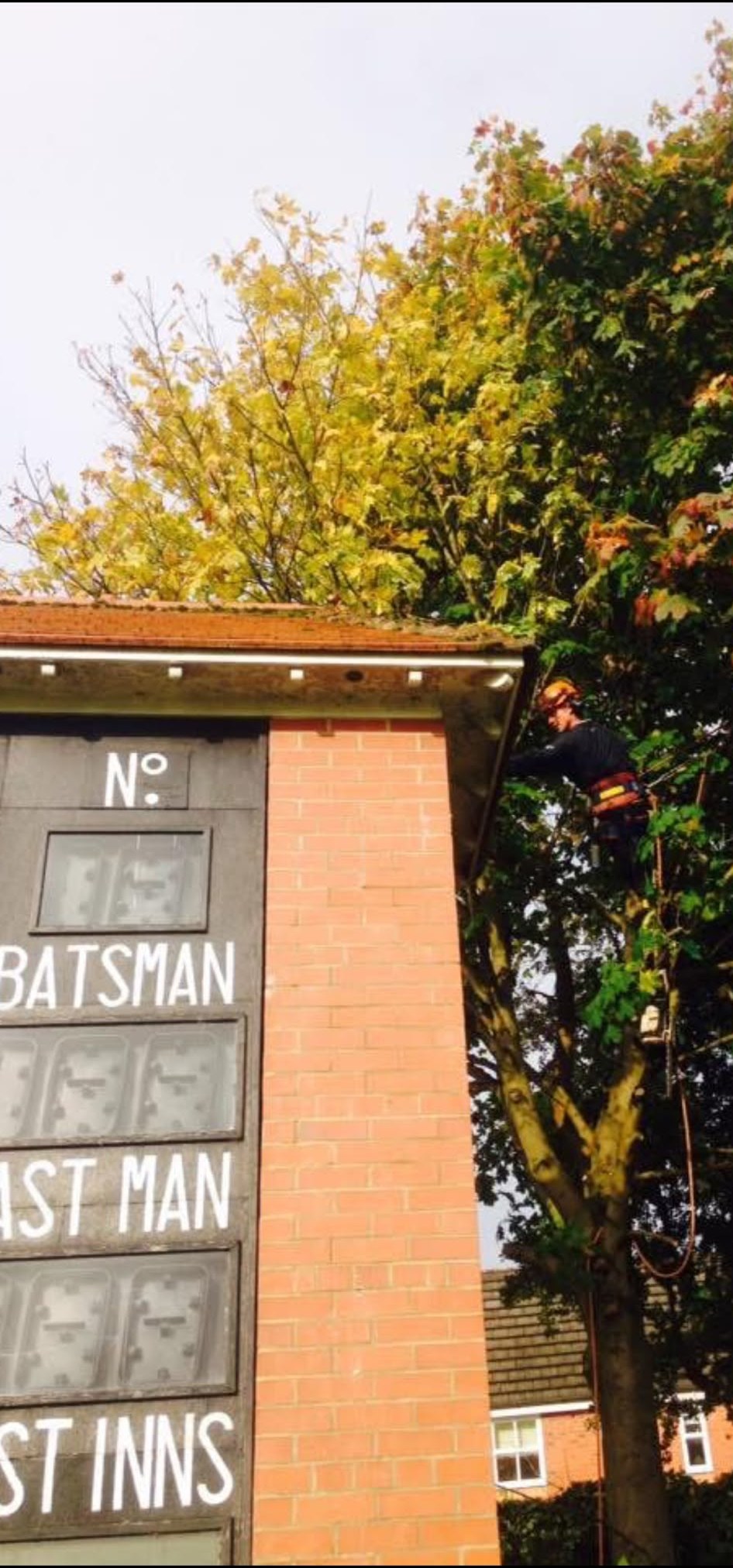 Tree work beside the scoreboard at a village cricket ground