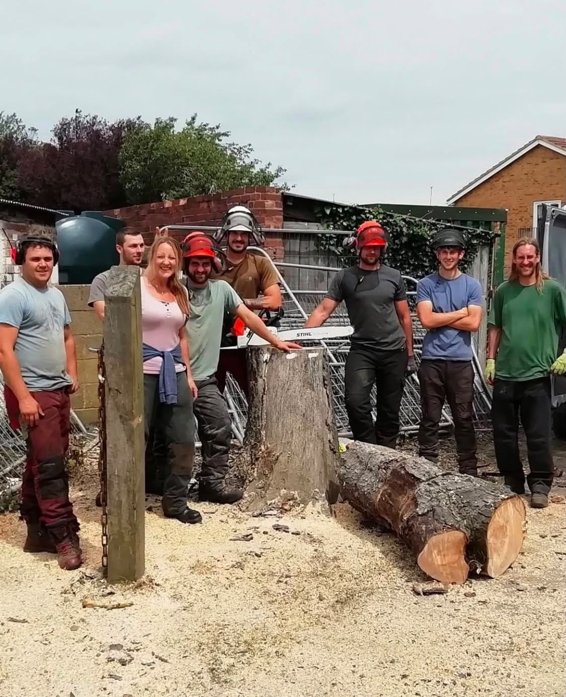 The team beside a felled tree and its stump