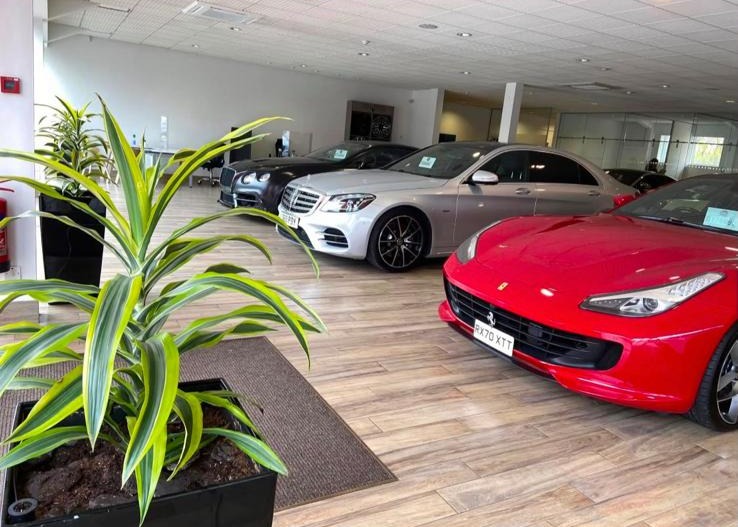 Indoor planting kept topped up on a car showroom floor beside the cars