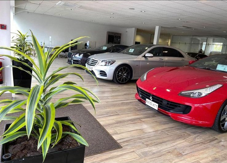 Indoor planters kept going on a car showroom floor beside a red sports car