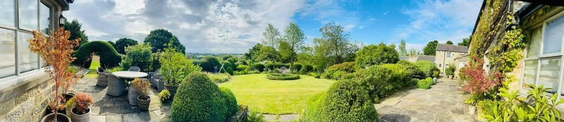 The Omaze garden, restored, maintained and manicured by Hocus Crocus