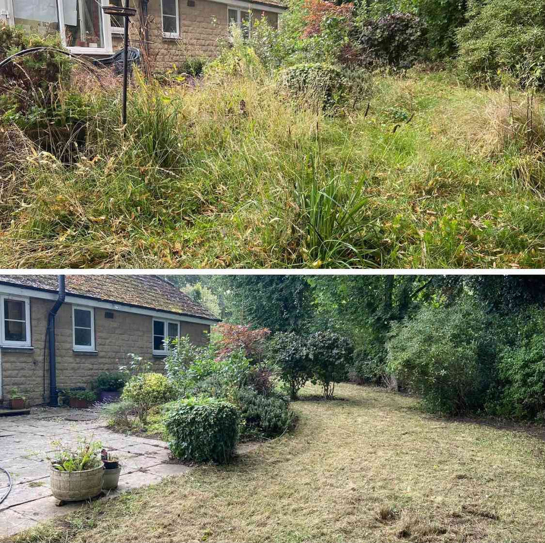 An overgrown garden cleared back to open lawn and tidy borders, before and after