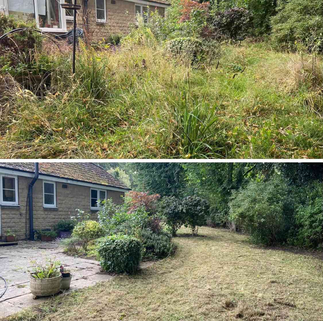 An overgrown garden cut back to open grass and a clear shrub border, before and after