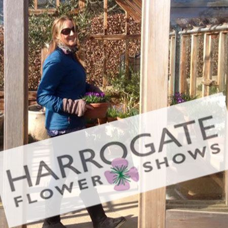 Karen at the Harrogate Flower Show