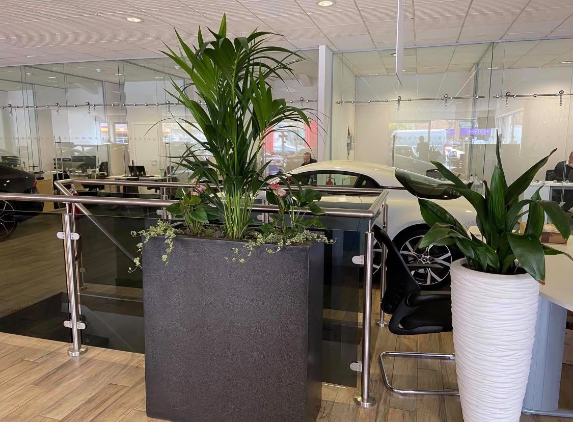 Indoor Planting, Pots and Planters