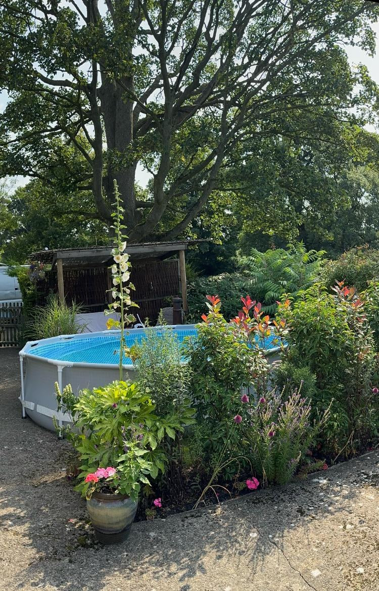 An above ground pool framed by border planting, a hollyhock and a pot of pinks