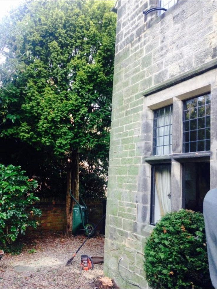 The same wall after the pyracantha was cut out and cleared away