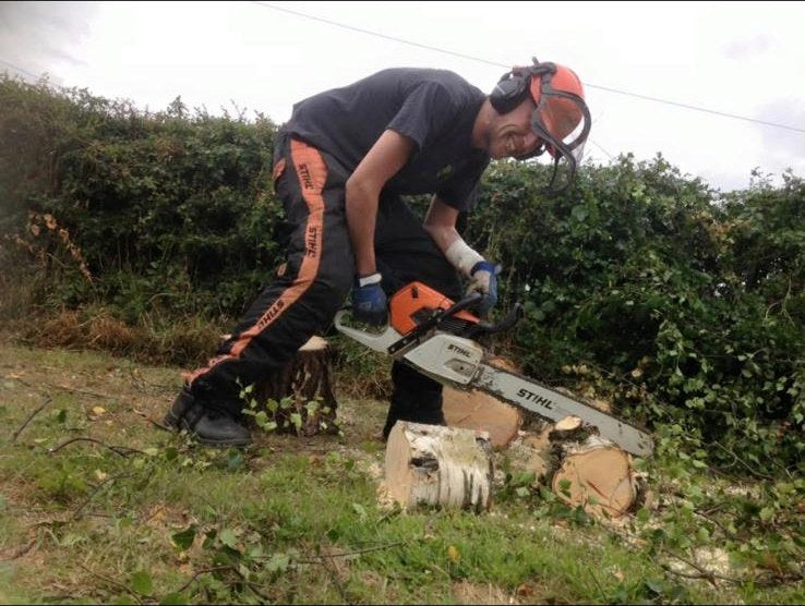 The Hocus Crocus tree team beside the stump and timber after a tree removal
