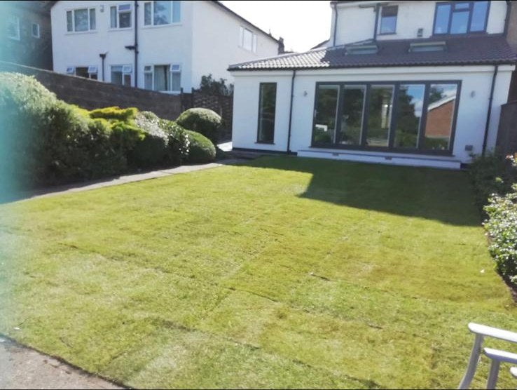 The finished lawn behind the house, seams still settling in