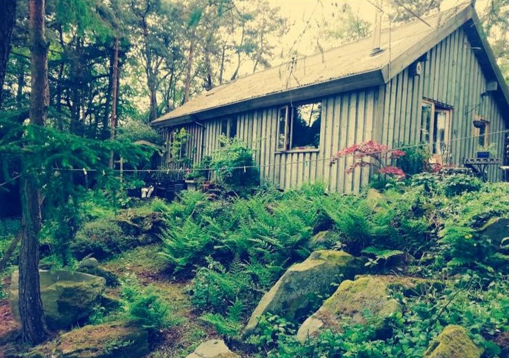 A timber cabin among trees, with ferns and mossy boulders in front